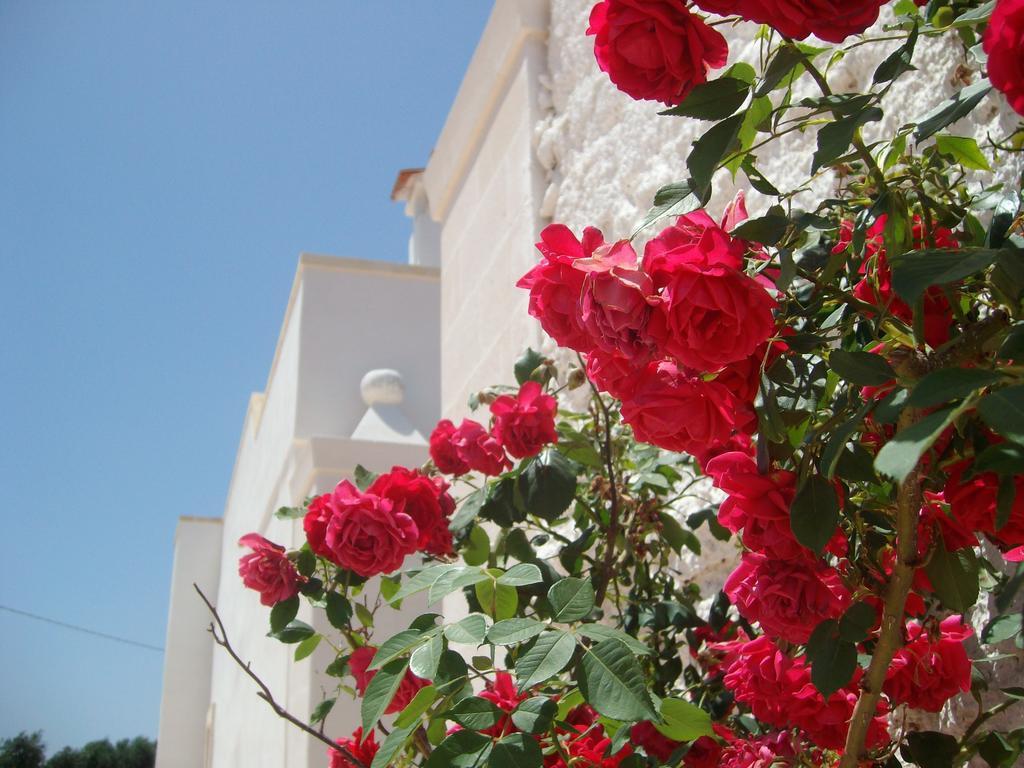 San Marzano di San Giuseppe Masseria Nuova 게스트하우스 외부 사진