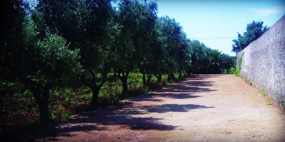 Masseria Nuova 프란카빌라 폰타나 외부 사진